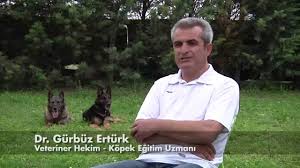 Active Kennel Kopek Egitim Merkezi Youtube