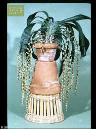 Image result for Diaphananthe