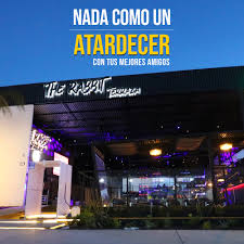The Rabbit Terraza