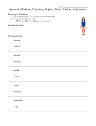 Human anatomy is the study of the structure of the human body. Anatomical Position Directions Regions Planes Cavities