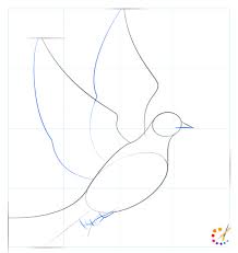 Enjoy this easy, step by step drawing tutorial for kids. How To Draw A Dove Step By Step For Kids Beginners