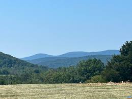 Charlottesville Area Association of REALTORS®