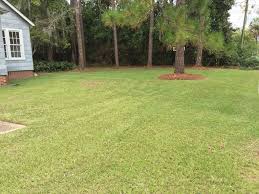 Research the specific species, not just cool most dormant grass does not need watering. Green Thumb Lawn Care Llc Home Facebook