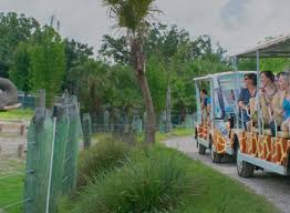 In 2009, lowry park zoo was voted the #1 family friendly zoo in the us by parents magazine, and is. Zootampa At Lowry Park