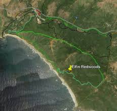 Make sure you check the website for closures / alerts. Elfin Redwood Forest Andrew Molera State Park Big Sur Trails Maps