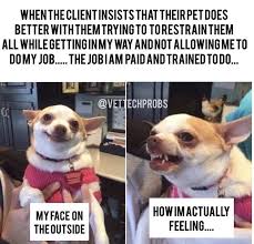 Veterinary Memes For The Big Hearted People Who Care For Our Animals Veterinary Memes Animals Cute Animals