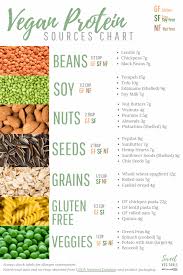 free printable 7 types of vegan protein sources chart