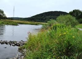 Diese rundwanderung führt bergauf und bergab durch das windrather tal und das deilbachtal in der elfringhauser schweiz bei langenberg. Wanderwege Rund Um Velbert Langenberg Gps Wanderatlas