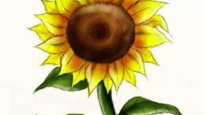 Find great offers online now! How To Draw A Sunflower Feltmagnet