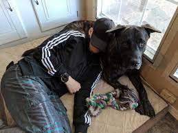 To The A Hole Who Just Pepper Sprayed My Dog By Stefani Vader Medium