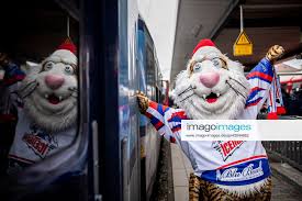 Die penny del beabsichtigt, ihre neue spielzeit am 13. Mit Einem Klick Zur Foto Kollektion Imago Images Eishockey Ice Tigers Nurnberg Eisbaren Berlin