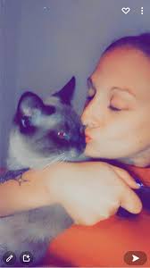 Lost cat found in Terre Haute