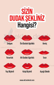 Sizin Sahip Olmak Istediginiz Dudak Sekli Hangisi Dudak Insan Vucudu Pinter