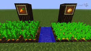 See full list on wikihow.com How Long Does It Take To Grow A Potato In Minecraft Quora