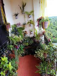 Hugedomains Com Small Balcony Garden Balcony Decor Apartment Balcony Garden