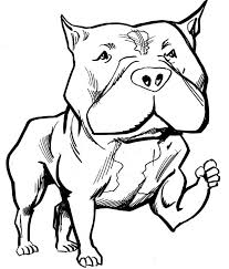 The physical and mental characteristics of pitbull dogs are great. Strong Pitbull Coloring Page Free Printable Coloring Pages For Kids