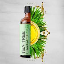 100 Reines Teebaumol Naturliches Atherisches Ol Mit Antimykotischen Antibakteriellen Vorteil Best Tea Tree Oil Essential Oils For Skin Tea Tree Essential Oil