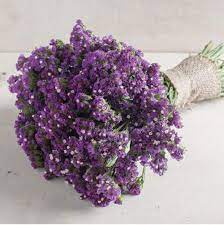 Buy Statice Flower Seeds Flower Seeds Purple Flowers Rose Seeds