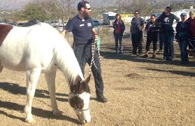 Arizona animal welfare league 25 north 40th st. Teaching Animal Related Disaster Preparedness In Arizona American Humane American Humane