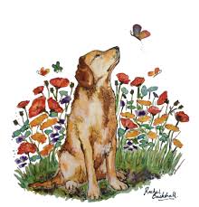 We did not find results for: Why Send Sympathy Cards The Benefits Of Pet Loss Support The Webinar Vet