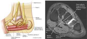 The most superficial layer is deep to the plantar aponeurosis and includes the abductor hallucis the indirect methods that will be reviewed are: Mri Appearance Of Jogger S Foot Springerlink