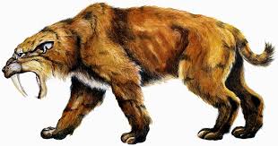 Saber Toothed Cat Smilodon Fatalis Image Was Generously Provided By The Indiana State Museum Smilodon Prehistoric Animals Ancient Animals