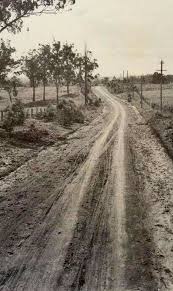 Greystanes Rd Prospect In Western Sydney In 1934 State Library Of Nsw Australia History Australian Road Trip Australian Continent