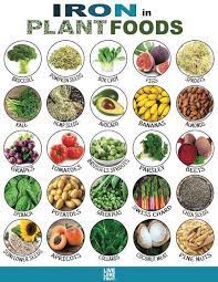 Iron is an essential mineral responsible for the production of hemoglobin, a protein that allows red blood cells to carry oxygen to every part of your body. Fortunately For Us Plant Eaters Iron Is Incredibly Abundant In The Plant Food World In Fact There Are Over 20 Plant Ba Foods With Iron Nutrition Health Food