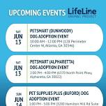 Petsmart Alpharetta Dog Adoption