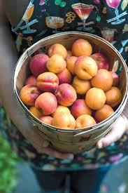 The Garden Of Eating Fruits And Veggies Eat Fruit