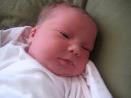 Johnson-Steffey Family: Ayla Canaan Ruth Steffey