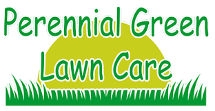 Sarah joint chiropractor serving erie, pa and the surrounding areas. Perennial Green Lawn Care Treatments In Erie Pa