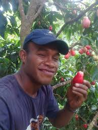 Native Fruits in Fiji: Revival Efforts Needed