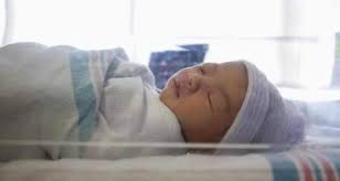 Andhra Pradesh New Born Baby Dies In Govt Hospital Due To Rat Bite Thehealthsite Com