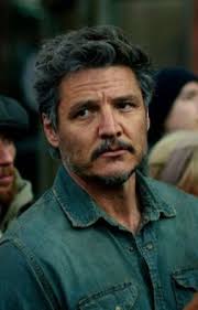 Joel Miller x Reader