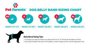 Pet Parents 3pack Premium Washable Dog Belly Bands Male
