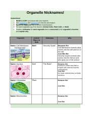 Keeping the cell turgid and helping in their growth. Organelle Nicknames Organelle Nicknames Instructions 1 Make A Copy And Share With Your Teacher 2 Use Resource A And Resource B To Find The Information Course Hero