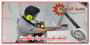 كشف خرير المياه بالكويت كشف التسريب بأحدث الاجهزة كشف خرير المياه بالكويت مشكلة كبيرة أن تقوم من نو Water Waste Detector
