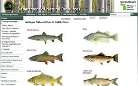 Finding And Identifying Fish In Michigan Resources That
