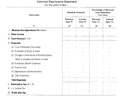 common size statements definition types format limitations financial statement projections