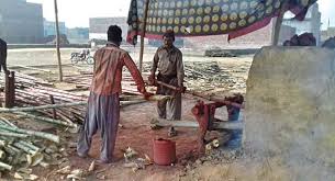 We did not find results for: Bamboo Farming A Potential Source Of Poverty Alleviation Pakistan Dawn Com