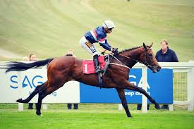 Investec derby festival 2020 is without a doubt, the greatest flat race in the world. Epsom And Ewell Families Derby Day 2020 The Covid 19 Way