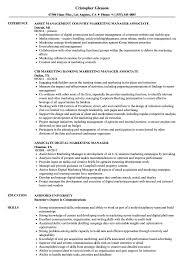 marketing manager / associate resume