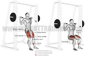 Leaning forward is common in this exercise because the quadricep is the strongest muscle in the leg and. Smith Chair Squat Exercise Instructions And Video Weight Training Guide