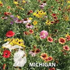 We did not find results for: Michigan Blend Wildflower Seed Urban Farmer