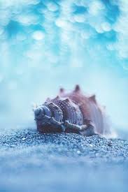 Profitez de millions d'applications android récentes, de jeux, de titres musicaux, de films, de séries, de livres, de magazines, et plus encore. 220 Blue Aesthetic Ideas In 2021 Blue Aesthetic Blue Everything Is Blue