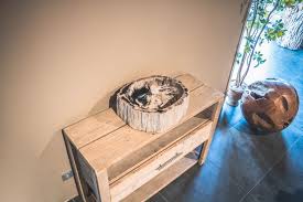 petrified wood sink unik living