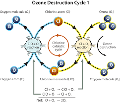 All evidence indicates that these result from the anthropogenic release of. Scientific Assessment Of Ozone Depletion 2018 Twenty Questions And Answers About The Ozone Layer