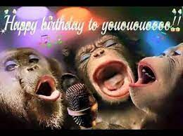 Monkey singing happy birthday song funny все актуальные видео на армянскую, азербайджанскую, грузинскую тематику. Pin By Sophie On 02 Happy Birthday Happy Birthday Pictures Funny Happy Birthday Pictures Birthday Humor