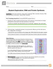 Unzipping of dna, formation of mrna, attaching of mrna to the ribosome, and linking of amino acids to form a protein. Rna Protein Synthesis Student Exploration Worksheet Name Date Student Exploration Rna And Protein Synthesis Vocabulary Amino Acid Anticodon Course Hero
